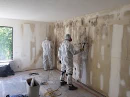 Best Post-Construction Mold Inspection  in Nes, IL